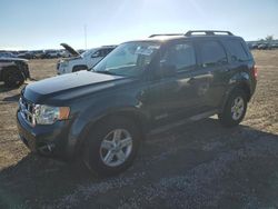 Salvage cars for sale at Earlington, KY auction: 2008 Ford Escape HEV