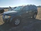 2008 Ford Escape HEV