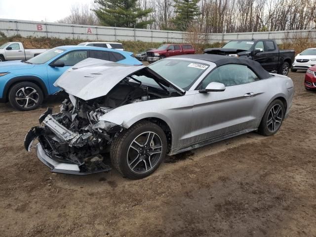 2021 Ford Mustang