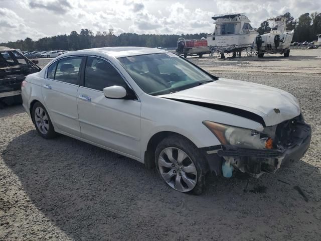 2010 Honda Accord EXL