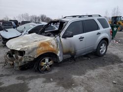 Salvage cars for sale from Copart Duryea, PA: 2012 Ford Escape XLT