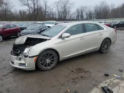 Cadillac Vehiculos salvage en venta: 2016 Cadillac XTS Luxury Collection