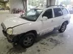 2004 Hyundai Santa FE GLS