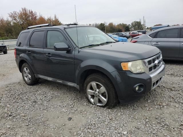 2009 Ford Escape Limited