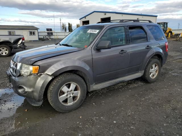 2010 Ford Escape XLT