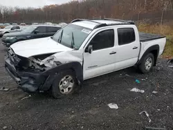 Toyota salvage cars for sale: 2008 Toyota Tacoma Double Cab