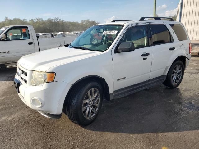 2010 Ford Escape Hybrid