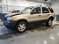 Ford salvage cars for sale: 2007 Ford Escape XLT