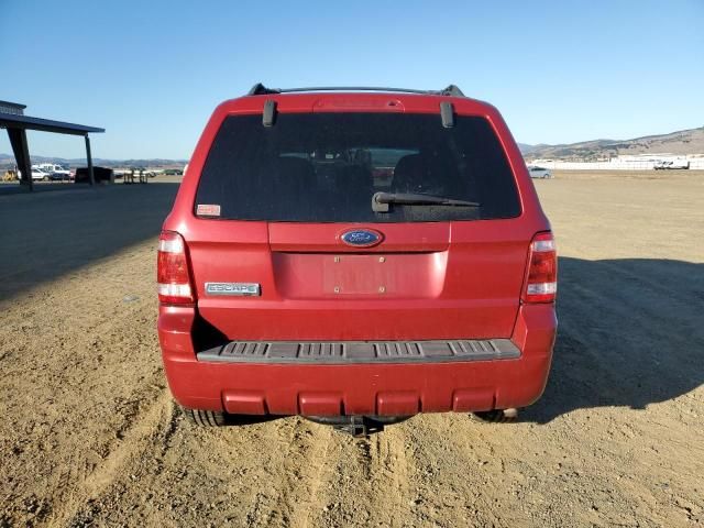 2009 Ford Escape XLT