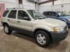 2004 Ford Escape XLT