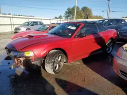 Salvage cars for sale at Montgomery, AL auction: 2001 Ford Mustang GT