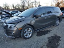 Vehiculos salvage en venta de Copart Marlboro, NY: 2019 Honda Odyssey EXL