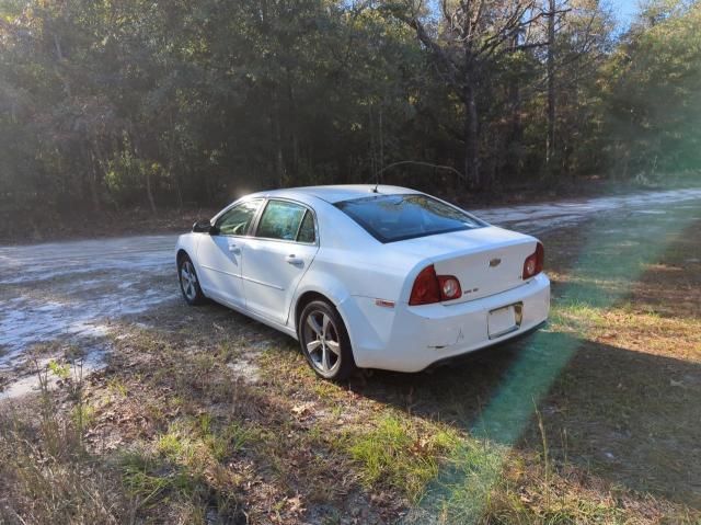 2009 Chevrolet Malibu LS