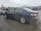 2003 Lexus ES 300