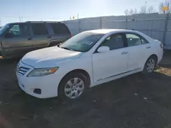 Toyota salvage cars for sale: 2010 Toyota Camry Base