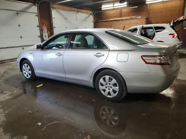 2010 Toyota Camry Hybrid