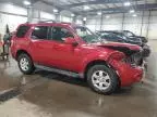 2010 Ford Escape Limited