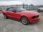 2005 Ford Mustang