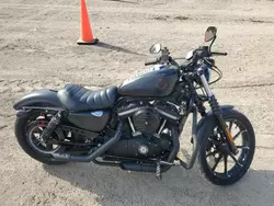 Harley-Davidson salvage cars for sale: 2019 Harley-Davidson XL883 N