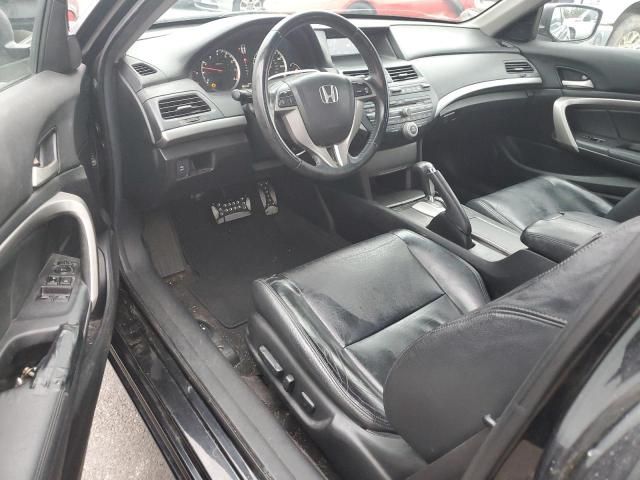 2008 Honda Accord EXL