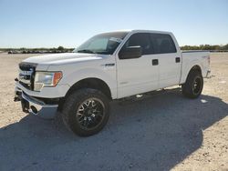 Vehiculos salvage en venta de Copart San Antonio, TX: 2014 Ford F150 Supercrew