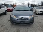 2013 Honda Odyssey EXL