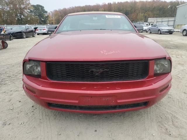 2005 Ford Mustang