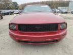 2005 Ford Mustang