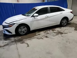 Hyundai salvage cars for sale: 2024 Hyundai Elantra SE