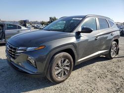 2024 Hyundai Tucson Blue en venta en Antelope, CA