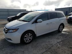 Salvage cars for sale at Arcadia, FL auction: 2015 Honda Odyssey EX