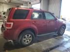 2008 Ford Escape Limited