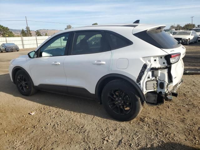 2020 Ford Escape SE Sport