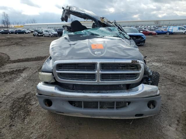 2004 Dodge Dakota SLT