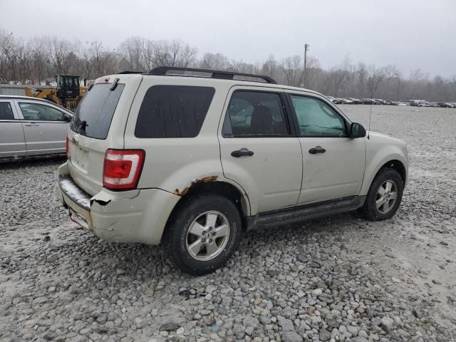 2009 Ford Escape XLT