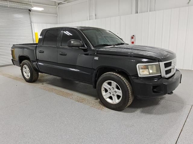 2010 Dodge Dakota SXT