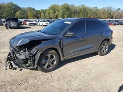 Salvage cars for sale at Conway, AR auction: 2023 Ford Escape ST Line