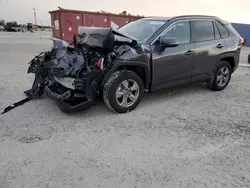 Salvage cars for sale at Arcadia, FL auction: 2023 Toyota Rav4 XLE