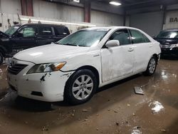 Toyota Camry salvage cars for sale: 2008 Toyota Camry Hybrid