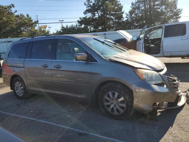 2008 Honda Odyssey EXL