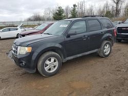 2010 Ford Escape XLT en venta en Davison, MI