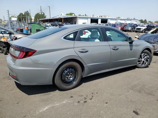 2022 Hyundai Sonata Hybrid