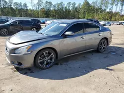 Nissan salvage cars for sale: 2014 Nissan Maxima S