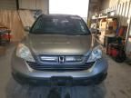 2007 Honda CR-V EXL