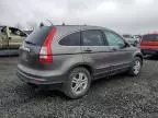 2010 Honda CR-V EXL