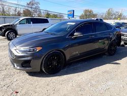 2019 Ford Fusion SEL en venta en Walton, KY