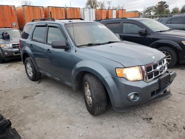 2011 Ford Escape XLT