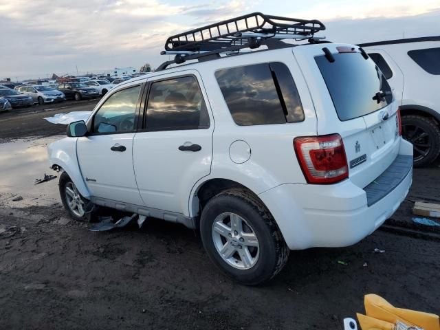 2009 Ford Escape Hybrid