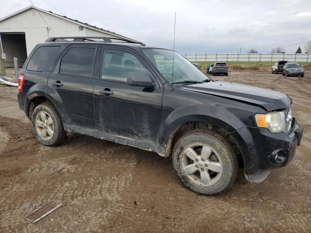 2009 Ford Escape XLT