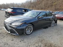 Vehiculos salvage en venta de Copart Marlboro, NY: 2022 Lexus ES 300H Base